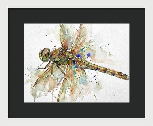 Dragonfly In Watercolor