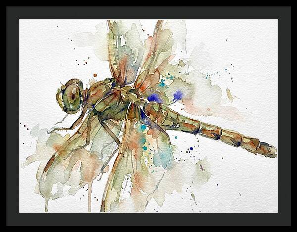 Dragonfly In Watercolor