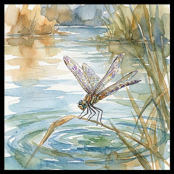 Dragonfly Over Tranquil Waters