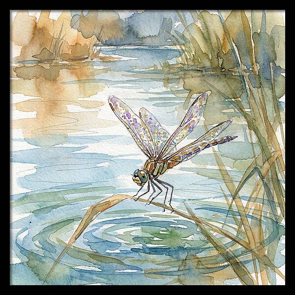 Dragonfly Over Tranquil Waters