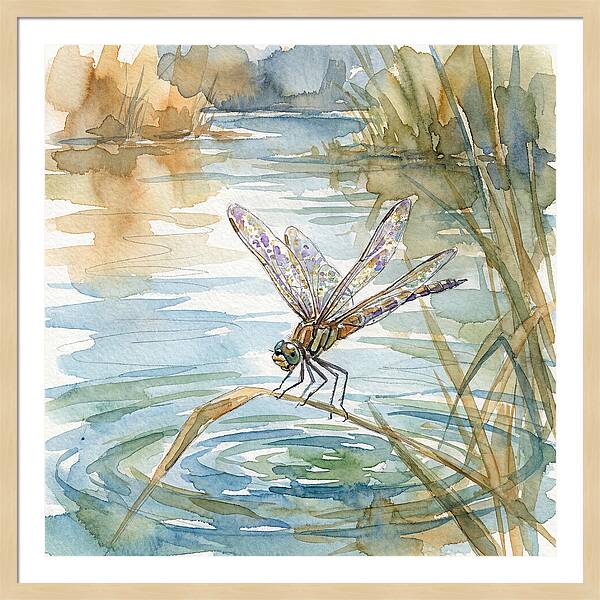 Dragonfly Over Tranquil Waters