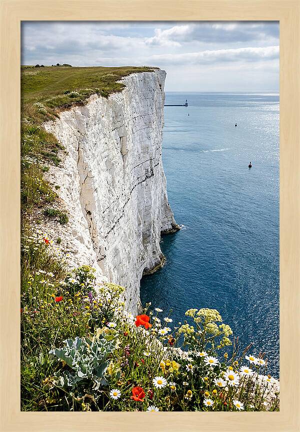 Dramatic Cliffs By The Sea