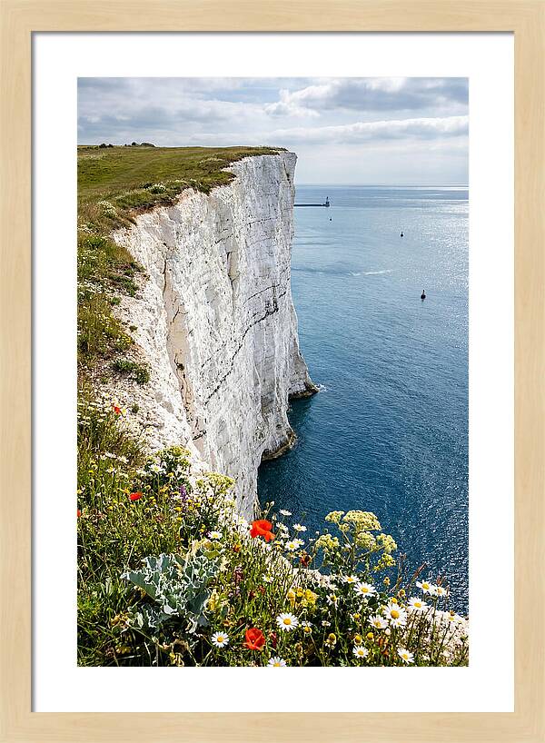Dramatic Cliffs By The Sea
