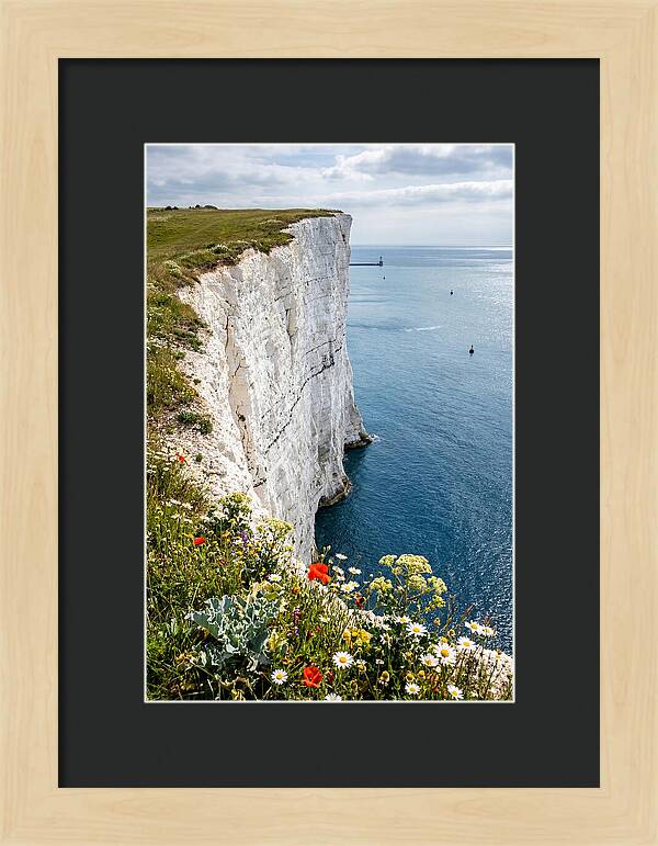 Dramatic Cliffs By The Sea
