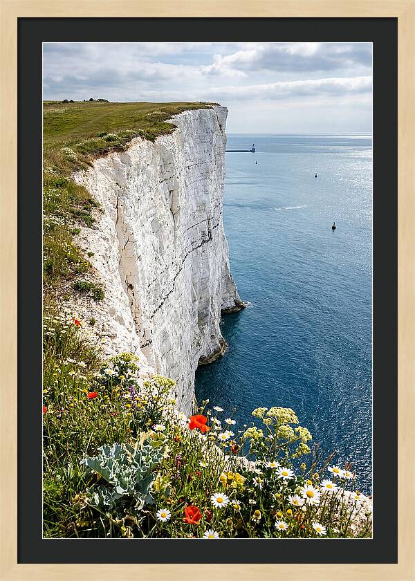 Dramatic Cliffs By The Sea