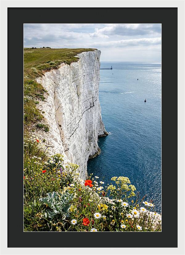 Dramatic Cliffs By The Sea