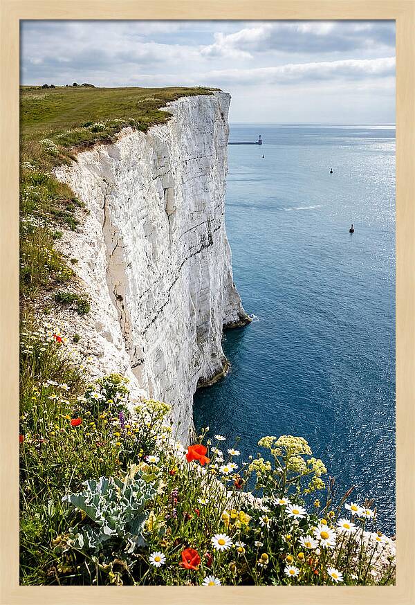 Dramatic Cliffs By The Sea