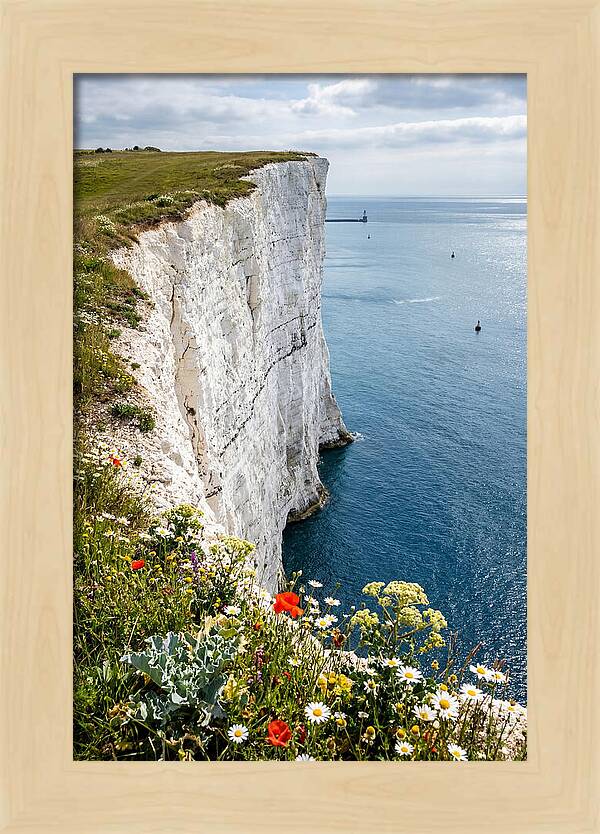 Dramatic Cliffs By The Sea