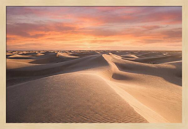Dramatic Dune Sunset