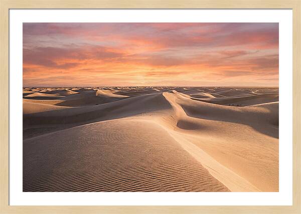 Dramatic Dune Sunset