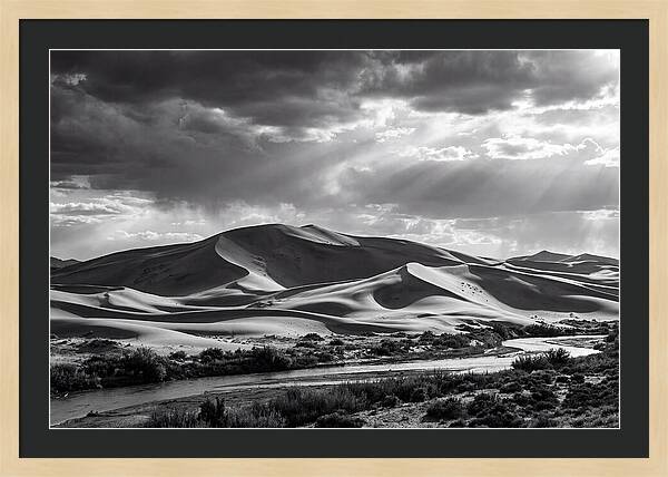 Dramatic Dune Vista