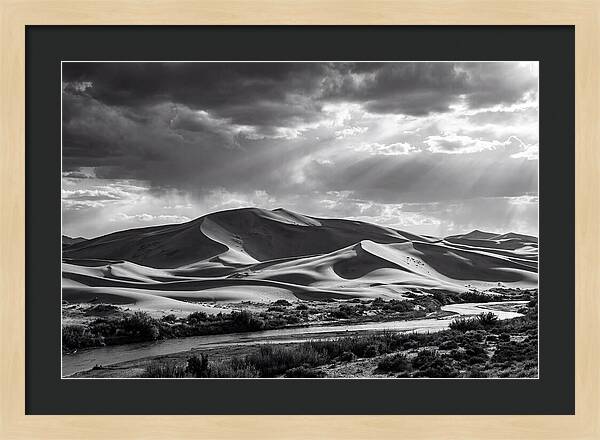 Dramatic Dune Vista