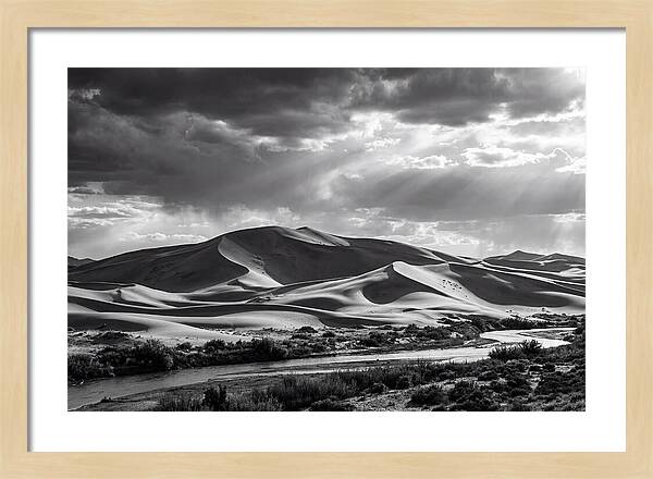 Dramatic Dune Vista