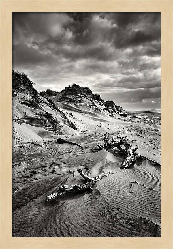 Dramatic Dunes Of Indiana