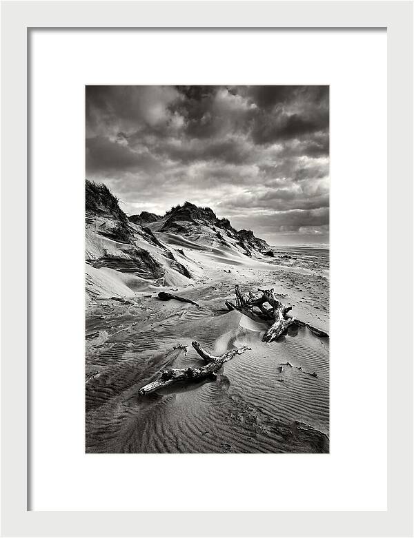Dramatic Dunes Of Indiana