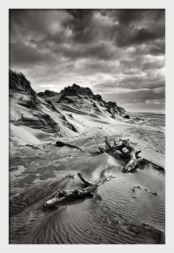 Dramatic Dunes Of Indiana