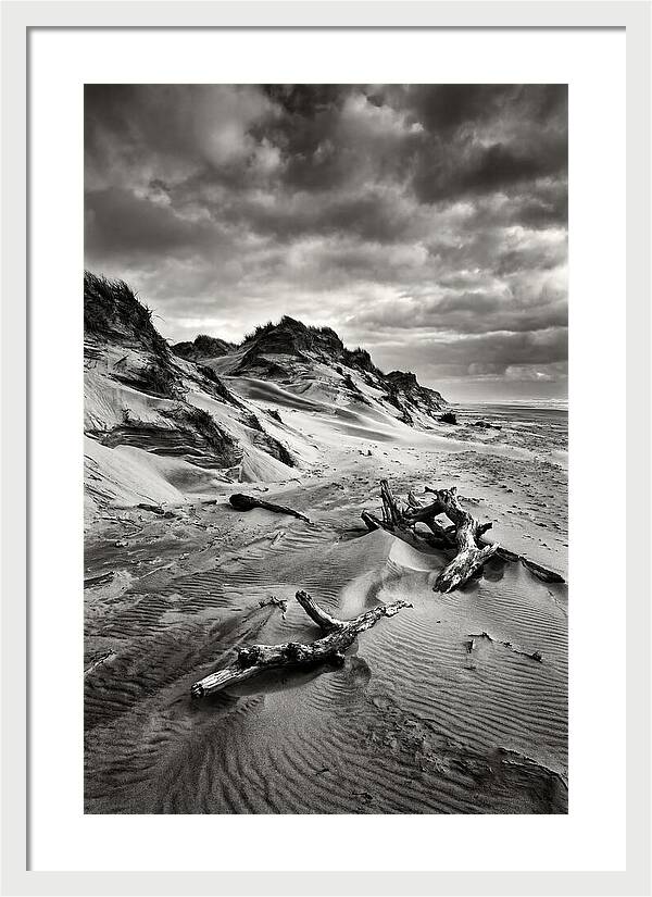 Dramatic Dunes Of Indiana