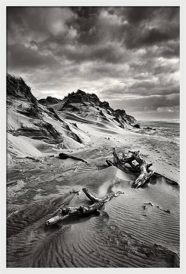 Dramatic Dunes Of Indiana