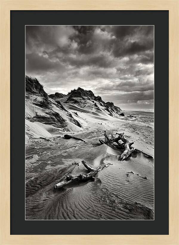 Dramatic Dunes Of Indiana