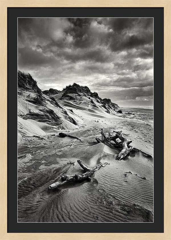Dramatic Dunes Of Indiana