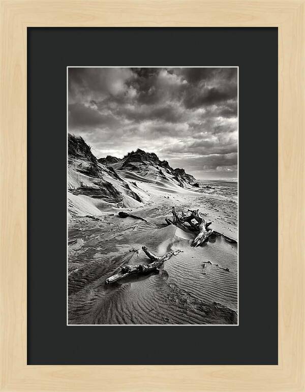 Dramatic Dunes Of Indiana