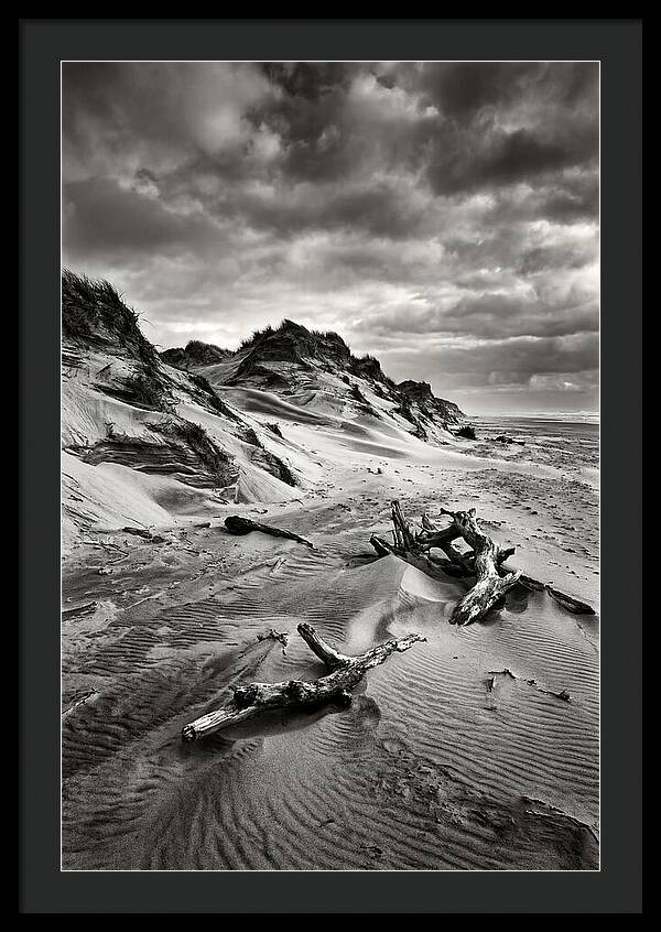 Dramatic Dunes Of Indiana