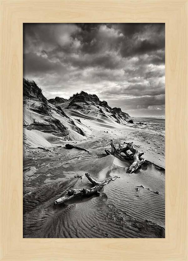 Dramatic Dunes Of Indiana