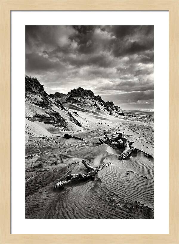 Dramatic Dunes Of Indiana
