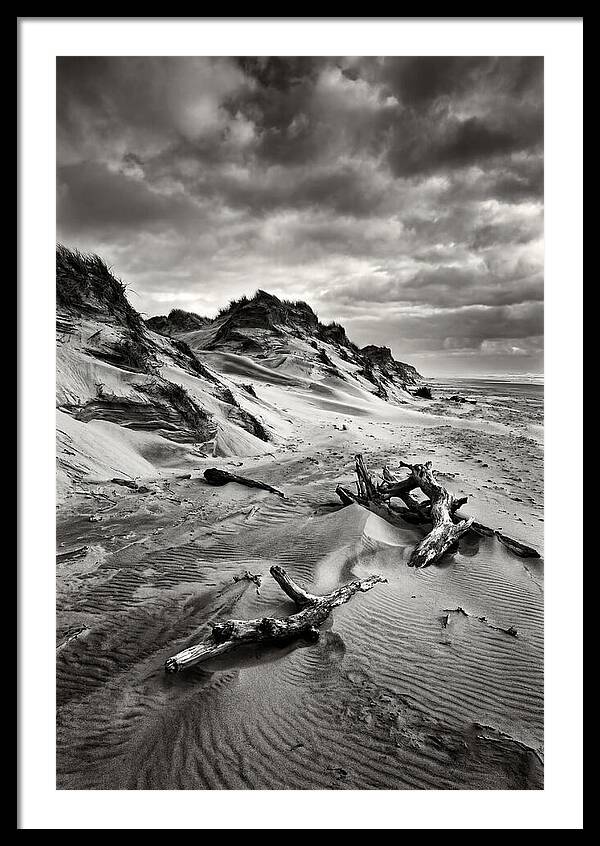 Dramatic Dunes Of Indiana