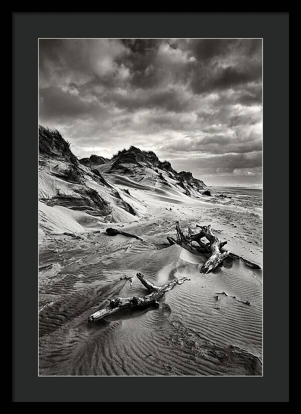 Dramatic Dunes Of Indiana