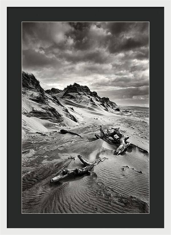 Dramatic Dunes Of Indiana