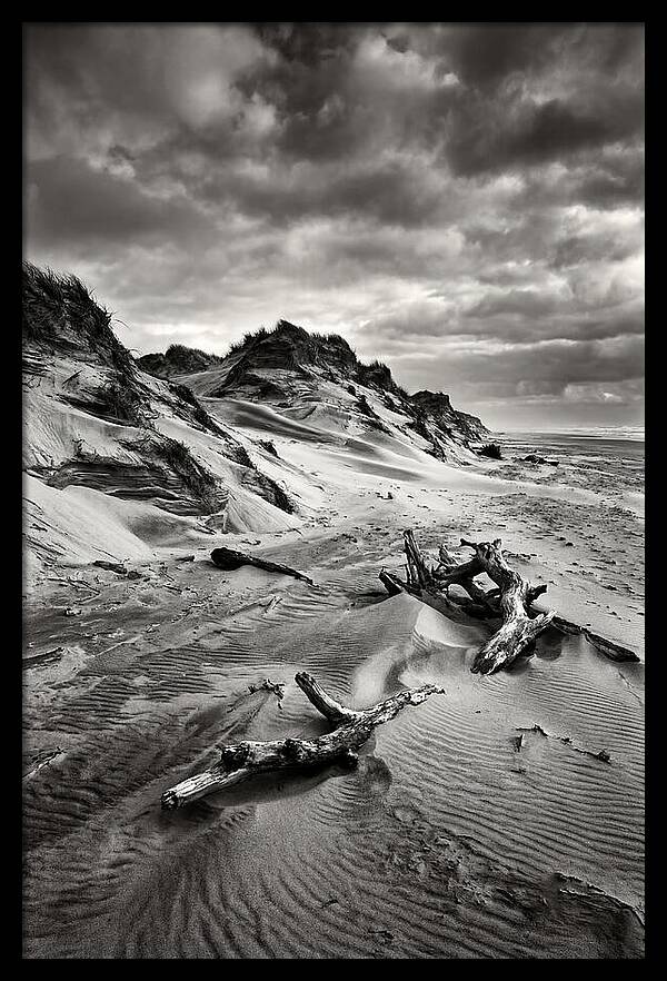 Dramatic Dunes Of Indiana