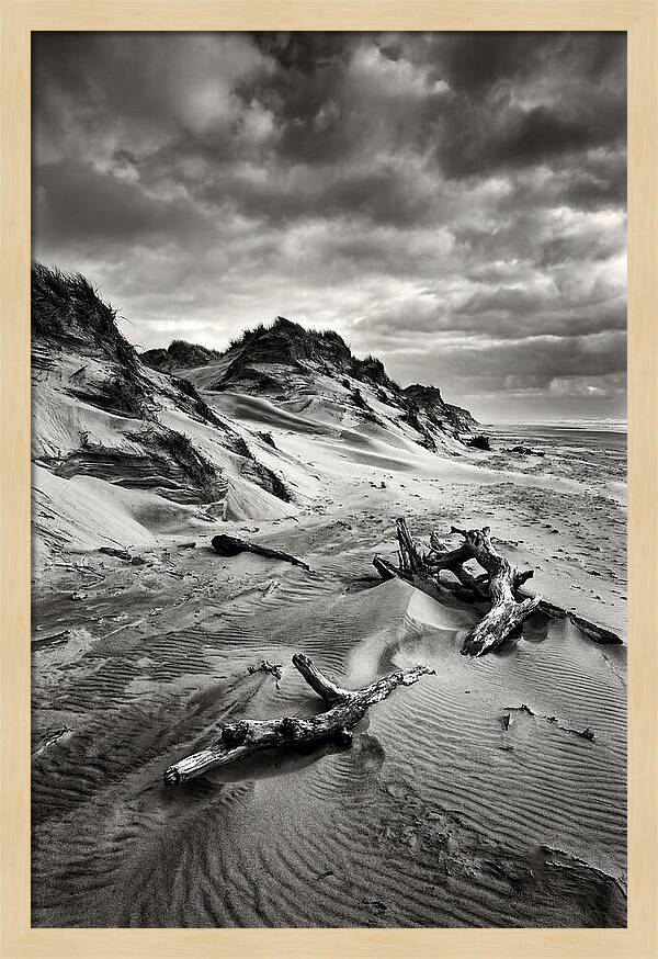 Dramatic Dunes Of Indiana