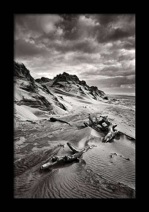 Dramatic Dunes Of Indiana