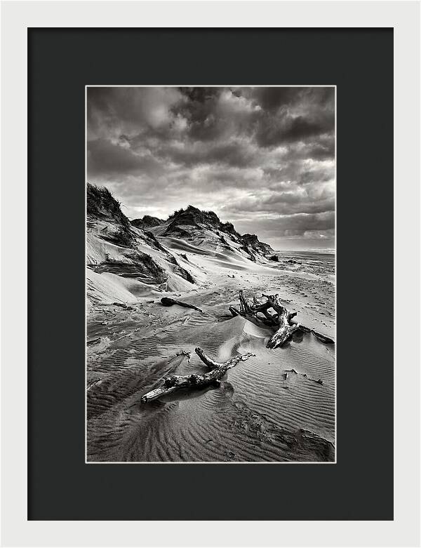 Dramatic Dunes Of Indiana