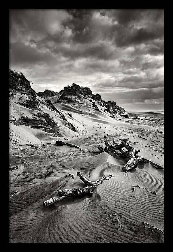 Dramatic Dunes Of Indiana