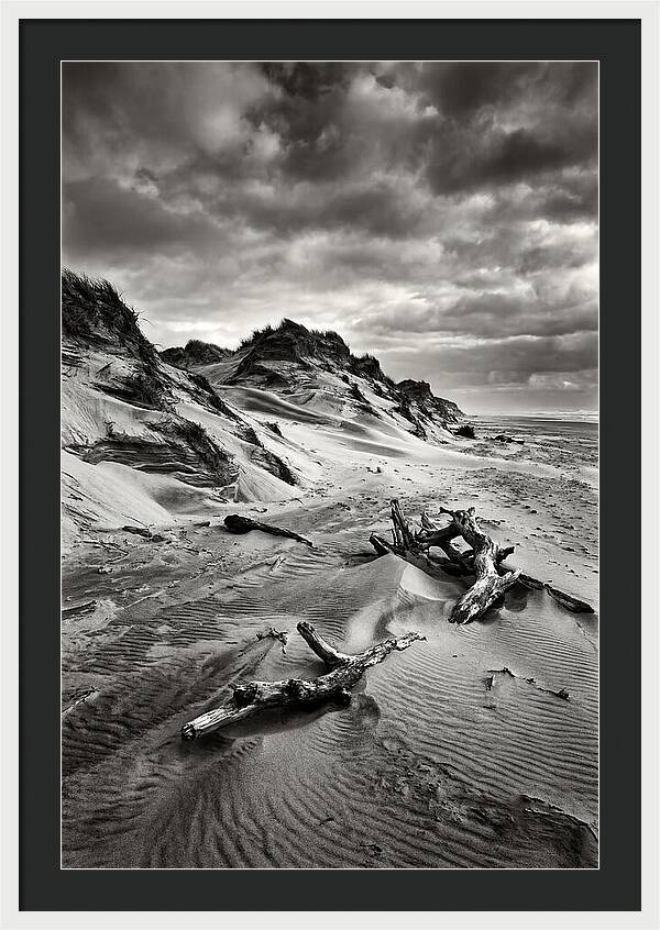 Dramatic Dunes Of Indiana