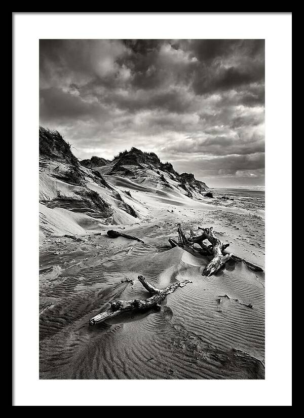 Dramatic Dunes Of Indiana