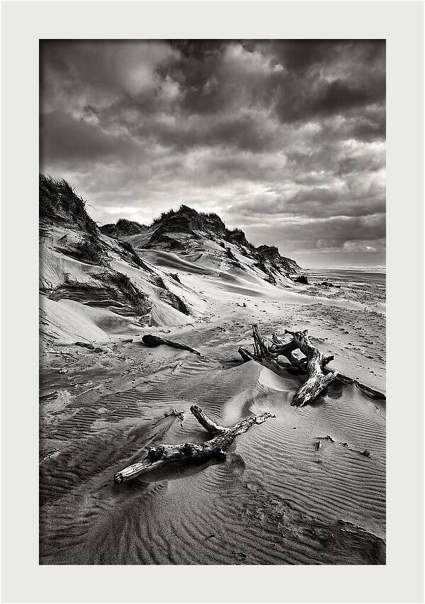 Dramatic Dunes Of Indiana