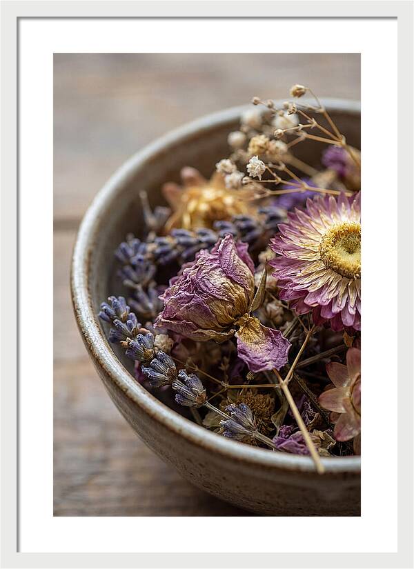 Dried Floral Serenity