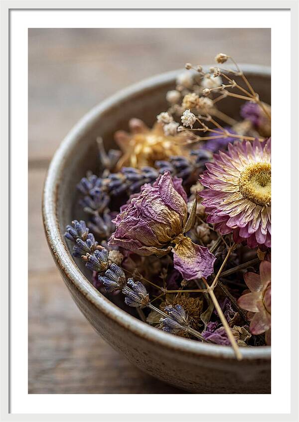 Dried Floral Serenity