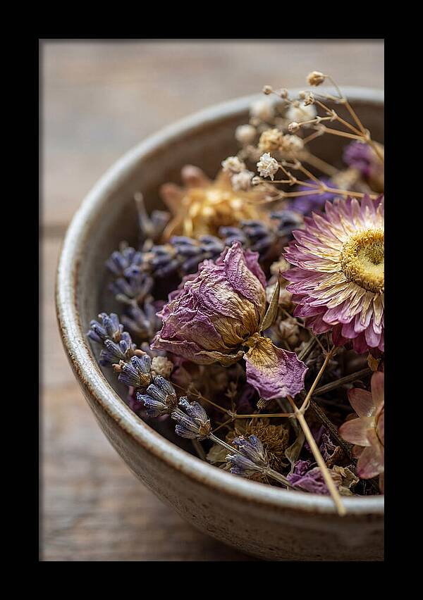 Dried Floral Serenity