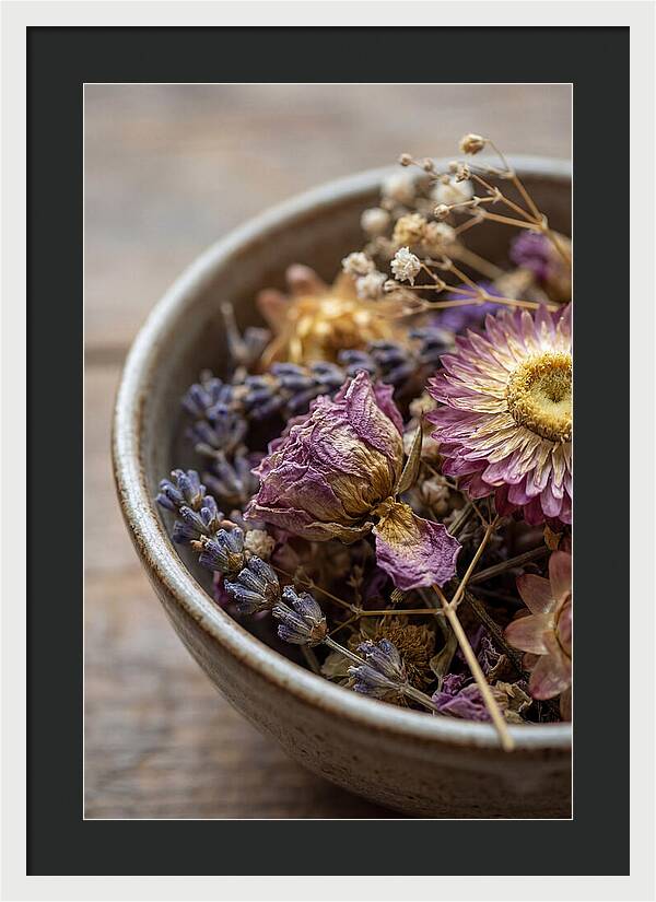 Dried Floral Serenity
