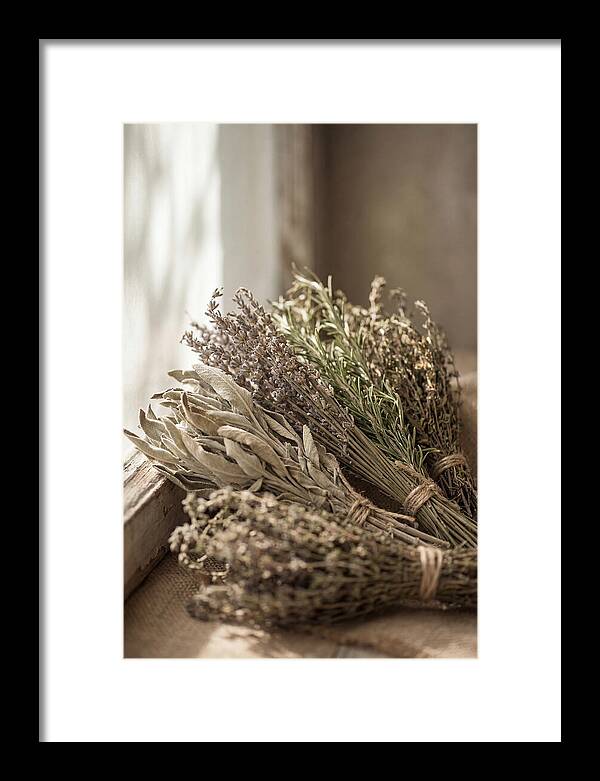 Dried Herbs Bundled Together