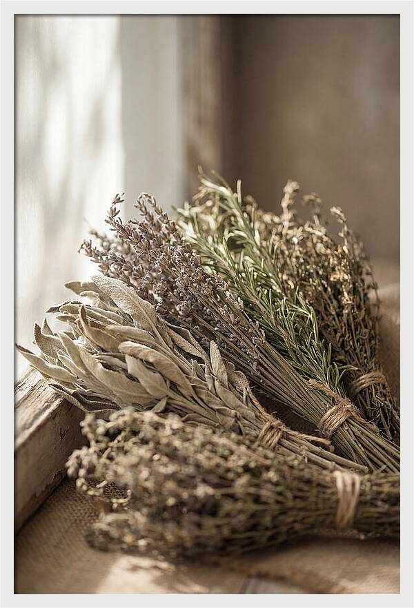 Dried Herbs Bundled Together