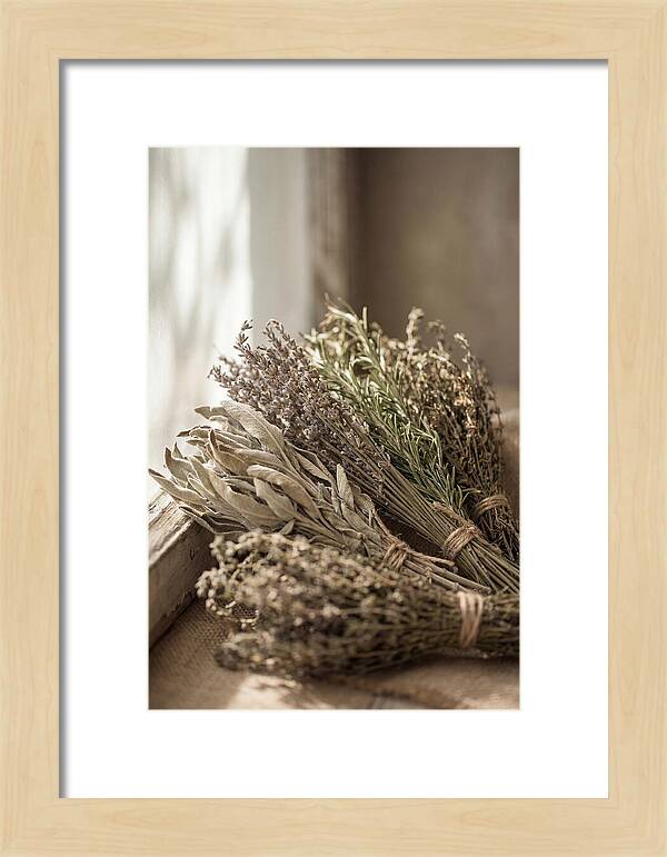 Dried Herbs Bundled Together