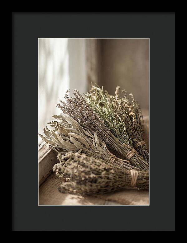 Dried Herbs Bundled Together