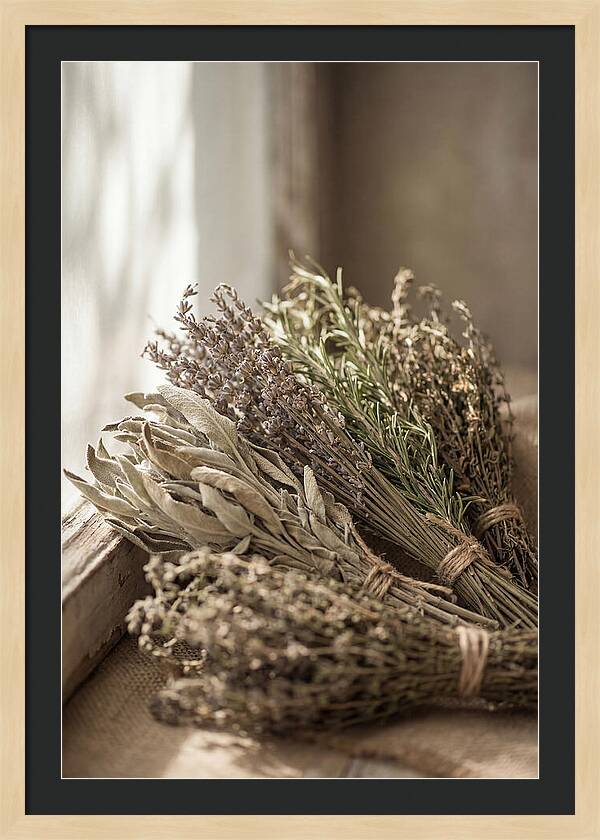 Dried Herbs Bundled Together