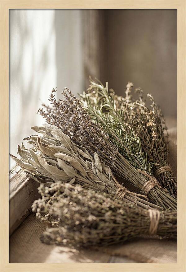 Dried Herbs Bundled Together