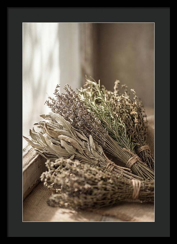 Dried Herbs Bundled Together